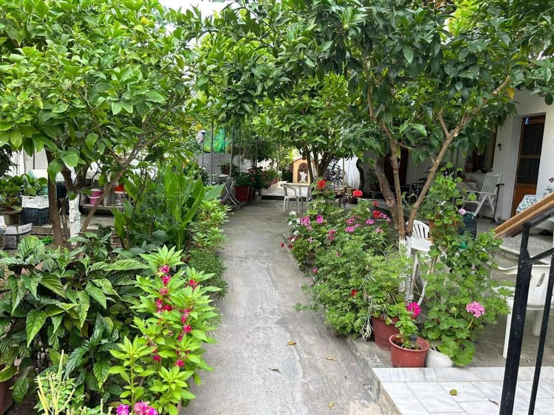 Studios Maro Skala Kallonis Luaran gambar