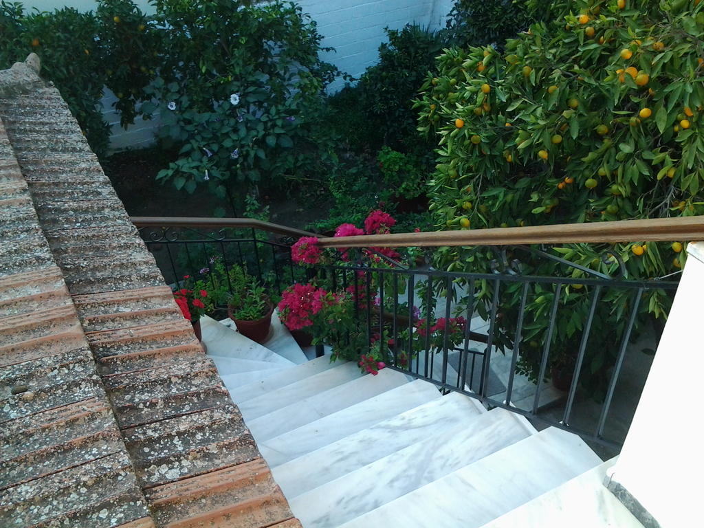 Studios Maro Skala Kallonis Luaran gambar